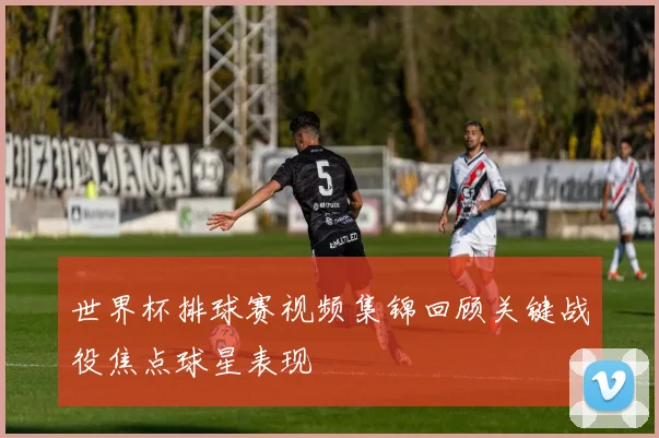 世界杯排球赛视频集锦回顾关键战役焦点球星表现