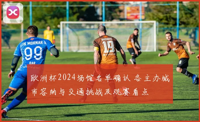 欧洲杯2024场馆名单确认 各主办城市容纳与交通挑战及观赛看点