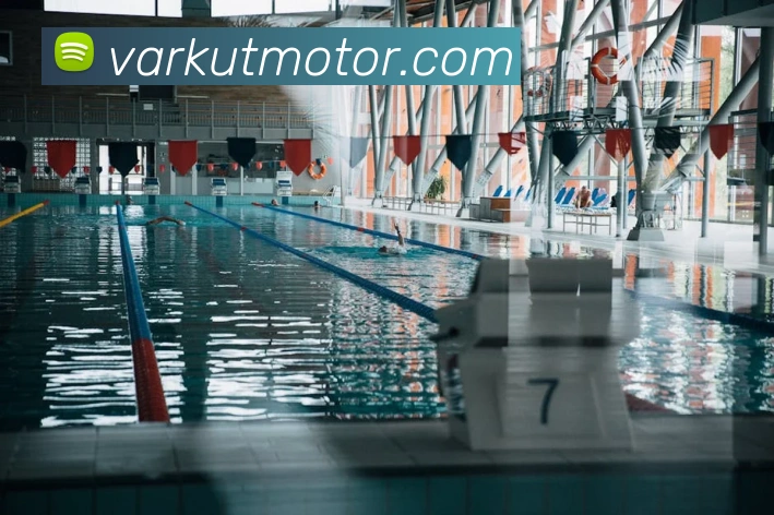 K1体育十年品牌值得信赖官网入口平台生态图